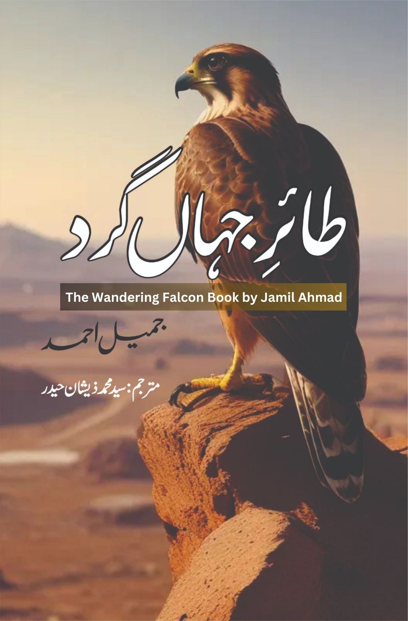 Tair E jahan kard | The Wandering Falcon  طائر جہاں گرد  |  جمیل احمد | سید محمد زیشان